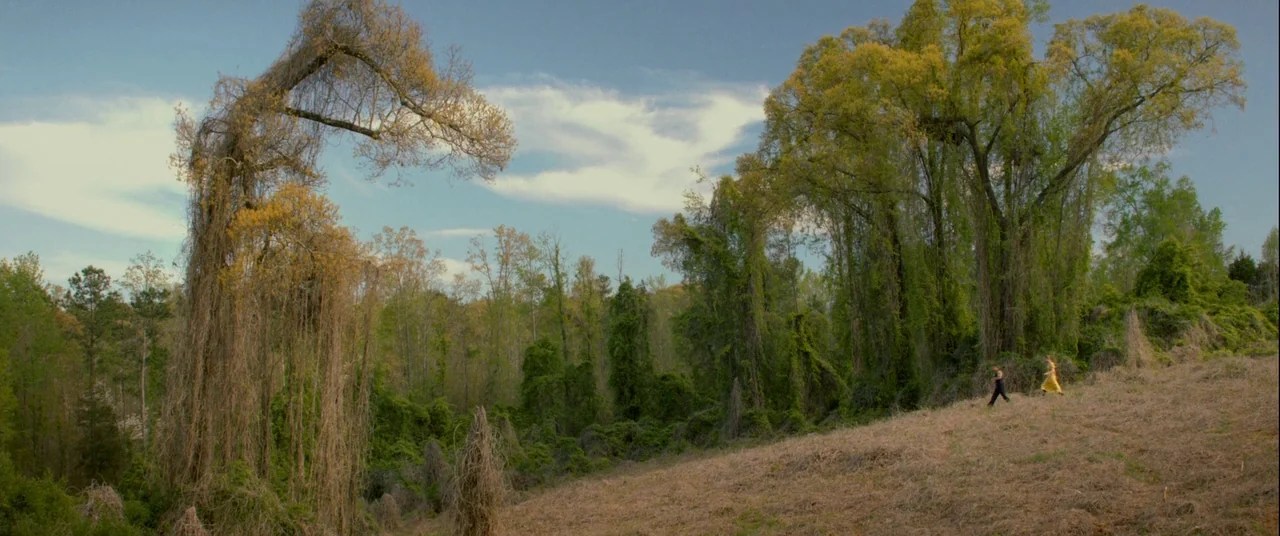 Lawless (2012) movie still: wide — A vast field of dry golden grass bordered by dense trees covered in vines. A man and a woman walk together across…