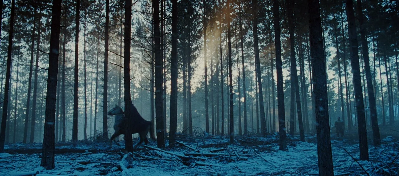 Gladiator (2000) movie still: wide — A dense pine wood is covered in a light dusting of snow during daytime. One rider on horseback moves through…