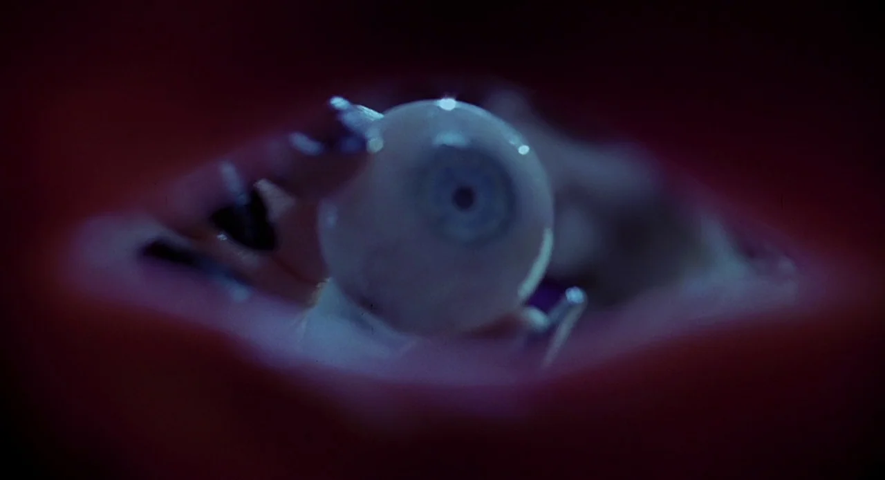 Bride of Chucky (1998) movie still: closeup — A dark, organic-looking cavity frames a single disembodied blue artificial eyeball. The eye sits…
