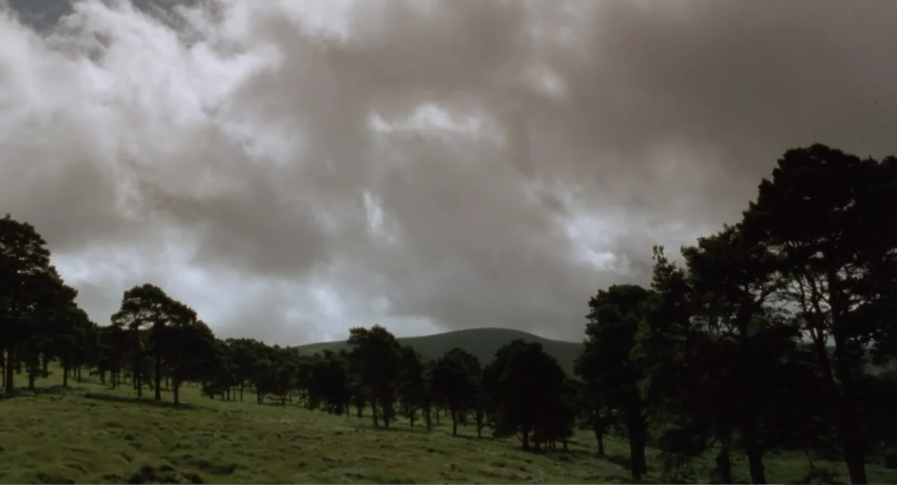 Dancing at Lughnasa (1998) movie still: wide — An open hillside is dotted with scattered pine trees under a heavy overcast sky. The rolling…