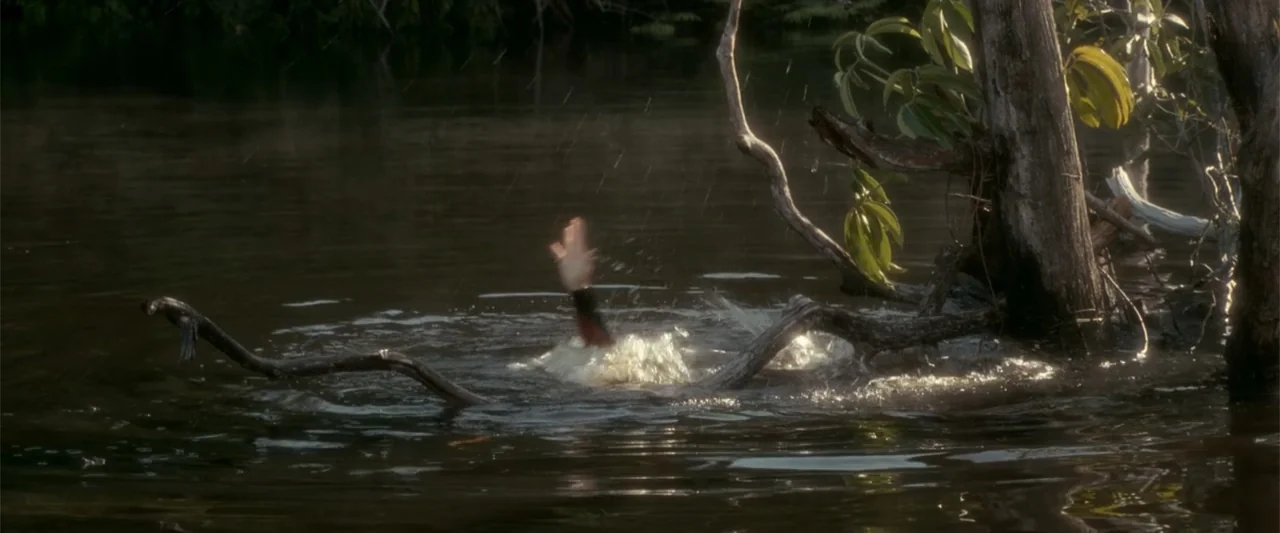 Anaconda (1997) movie still: wide — A murky, dark water swamp with large, twisted tree branches emerging from the surface. A single human hand…
