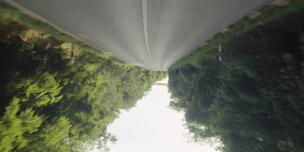 Midsommar (2019) movie still: wide — An asphalt road runs between two thick walls of green trees under daylight. The perspective of the frame is…
