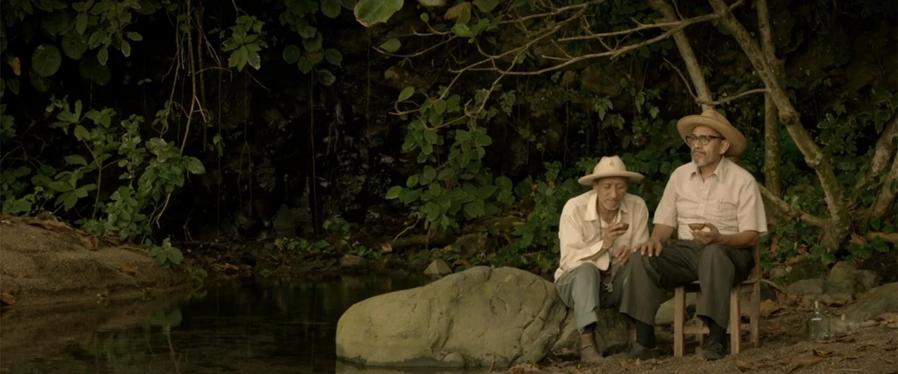 I Dream in Another Language (2017) movie still: medium — A dark riverbank under dense foliage features a rocky shore and mossy bank. Two men in…