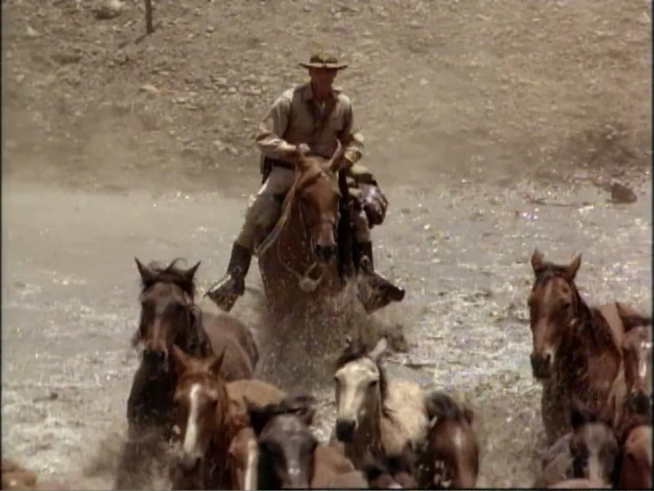 In Pursuit of Honor (1995) movie still: medium — A man on horseback leads a herd of horses through a wide shallow stream. The background consists of…