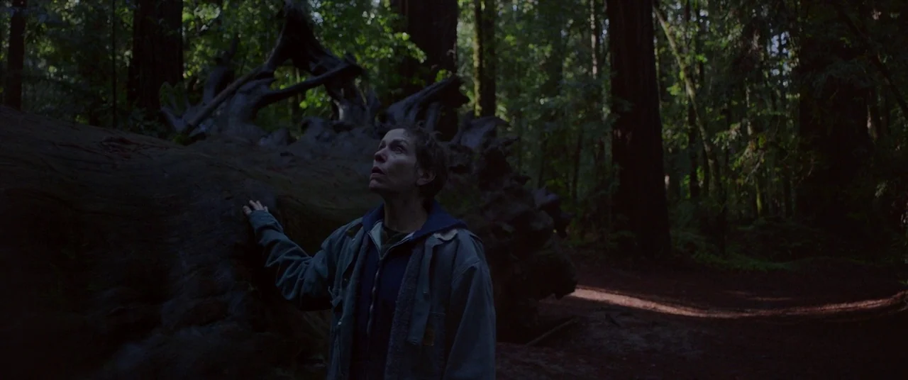 Nomadland (2020) movie still: medium — A dense grove of ancient redwood trees features a massive, dark fallen tree trunk. An elderly woman stands…