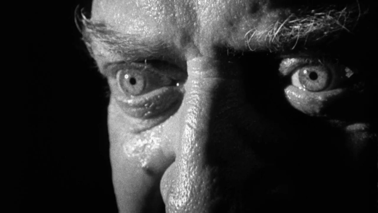 Natural Born Killers (1994) movie still: closeup — A dark, non-descript background frames an extremely close view of an older man's face. The…