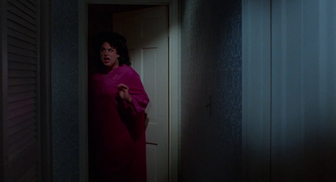 Polyester (1981) movie still: medium — A narrow domestic hallway has patterned blue wallpaper and a partially opened white door. A middle-aged man…