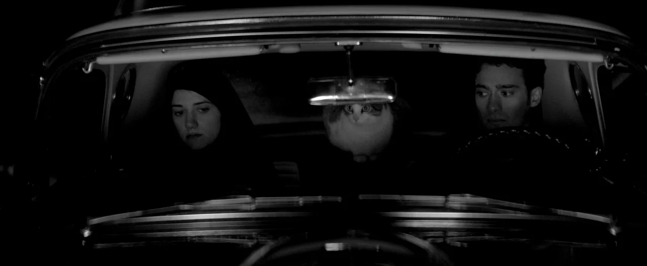 A Girl Walks Home Alone at Night (2014) movie still: medium — A dark, cramped car interior illuminated by faint light at night. A woman and man sit…