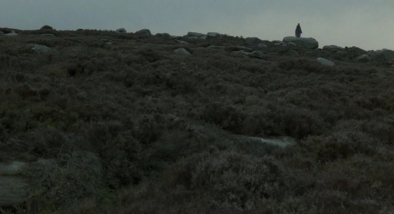 Jane Eyre (2011) movie still: wide — A desolate, rocky moorland covered in low dark shrubs under a flat grey sky. A small figure stands alone upon a…