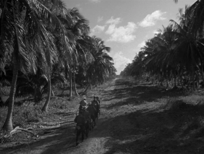 They Were Expendable (1945) movie still: wide — A dirt path cuts through a dense plantation of tall, leafy palm trees. A small group of uniformed…