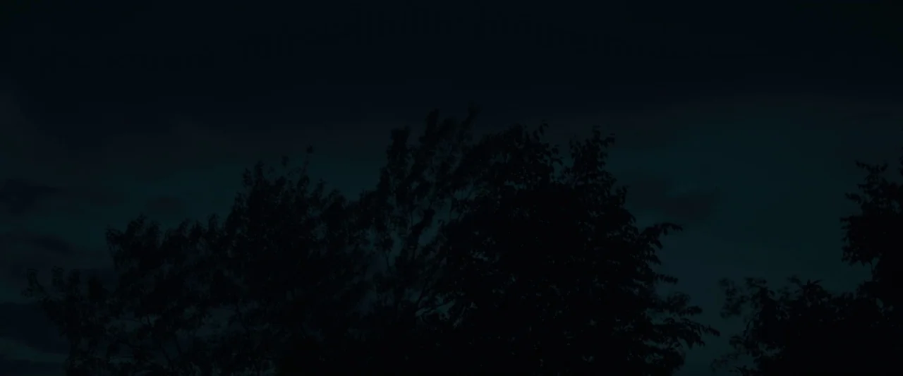 Small Crimes (2017) movie still: establishing — A dark silhouette of tree tops is visible against a deep blue night sky. No other architectural…