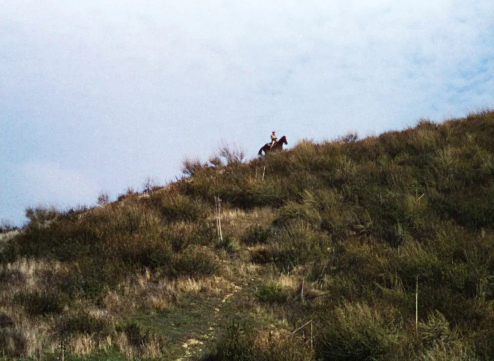 Calamity Jane (1953) movie still: wide — A grassy hillside covered in low-lying shrubbery leads up to a distinct ridge. A lone rider on horseback…