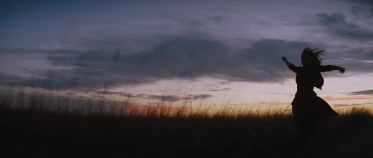 To The Wonder (2012) movie still: wide — A vast, open field of tall grass extends toward the horizon under a twilight sky. A woman runs through the…