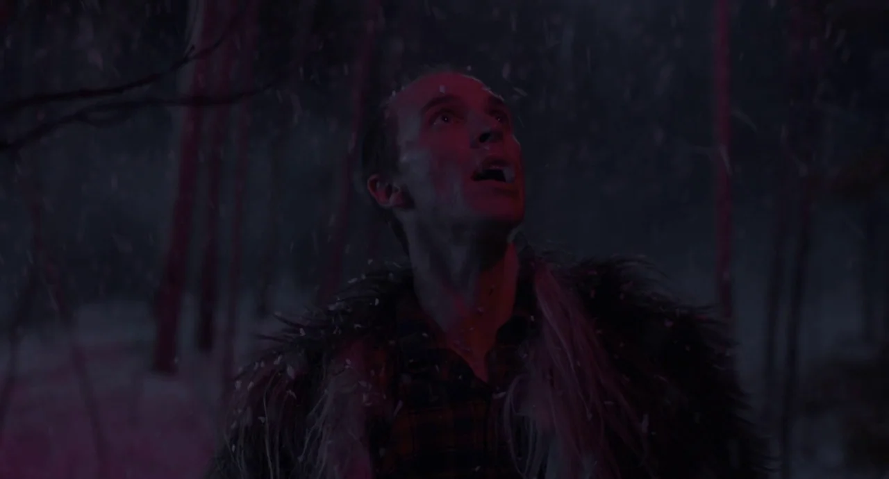 The Wolf of Snow Hollow (2020) movie still: medium — A dark, snow-filled wooded area features vertical tree trunks disappearing into the night. A…