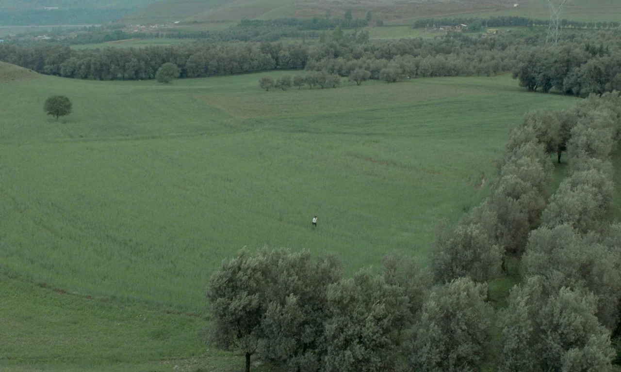 Through The Olive Trees (1994) movie still: establishing — A vast, rolling green landscape features scattered trees and a distant figure in a field.…