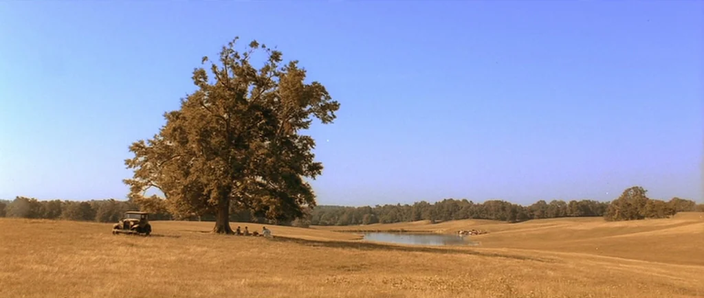O Brother, Where Art Thou? (2000) movie still: establishing — A vast, dry golden field contains a single large leafy tree near a pond. A vintage car…
