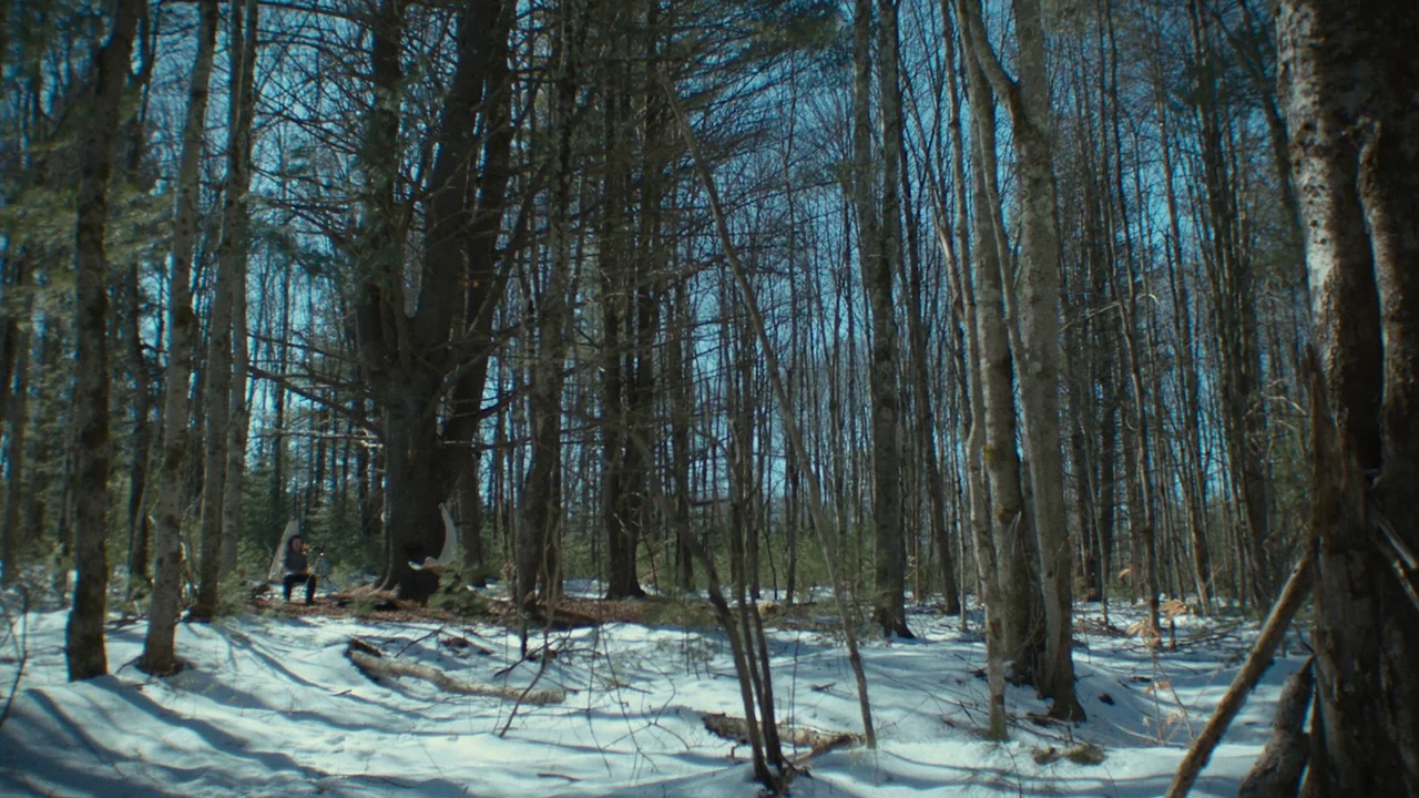 We’re All Going to the World’s Fair (2021) movie still: wide — A dense forest floor is covered in patches of snow with bare deciduous trees. A lone…