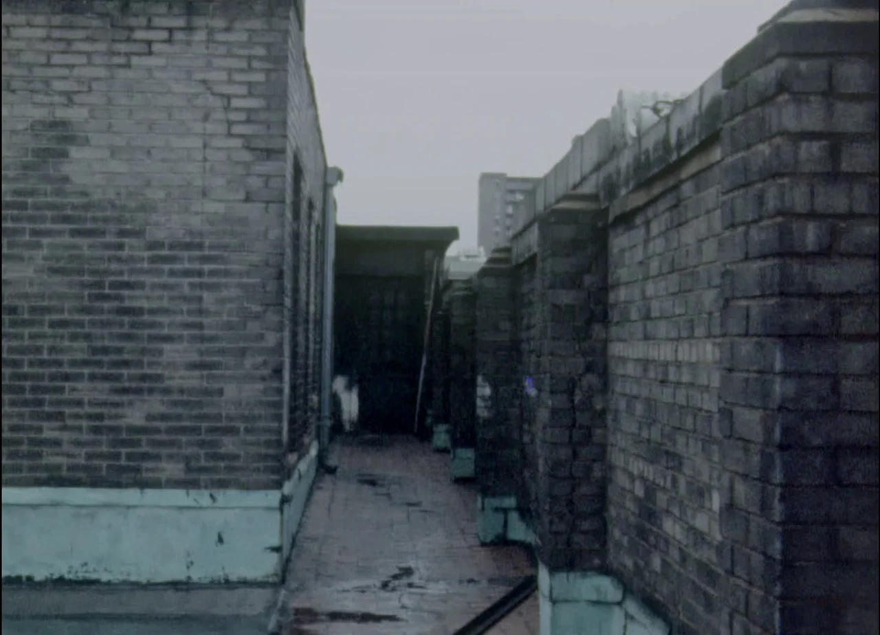 Hotel Monterey (1973) movie still: establishing — A narrow corridor on a building rooftop is enclosed by weathered brick walls. The area features a…