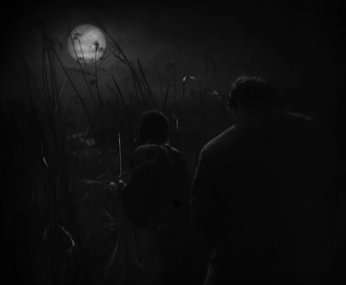 Sunrise (1927) movie still: medium — A dark marsh landscape contains two figures moving through tall reeds at night. A bright full moon glows in the…