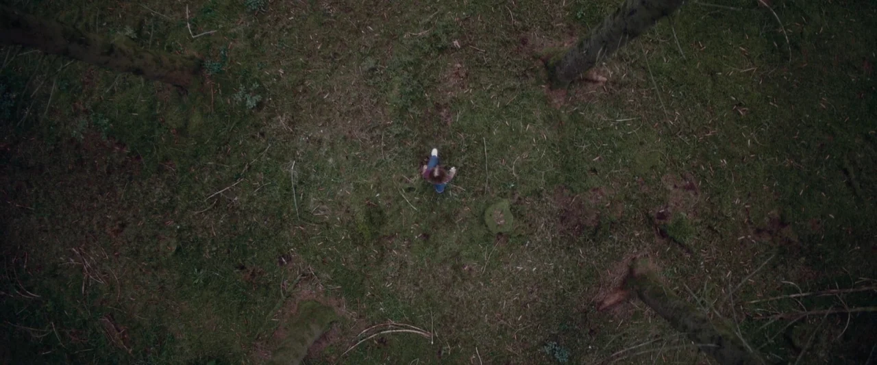 Meanwhile On Earth (2024) movie still: wide — A dense woodland floor covered in moss and pine needles seen from directly above. A single person…