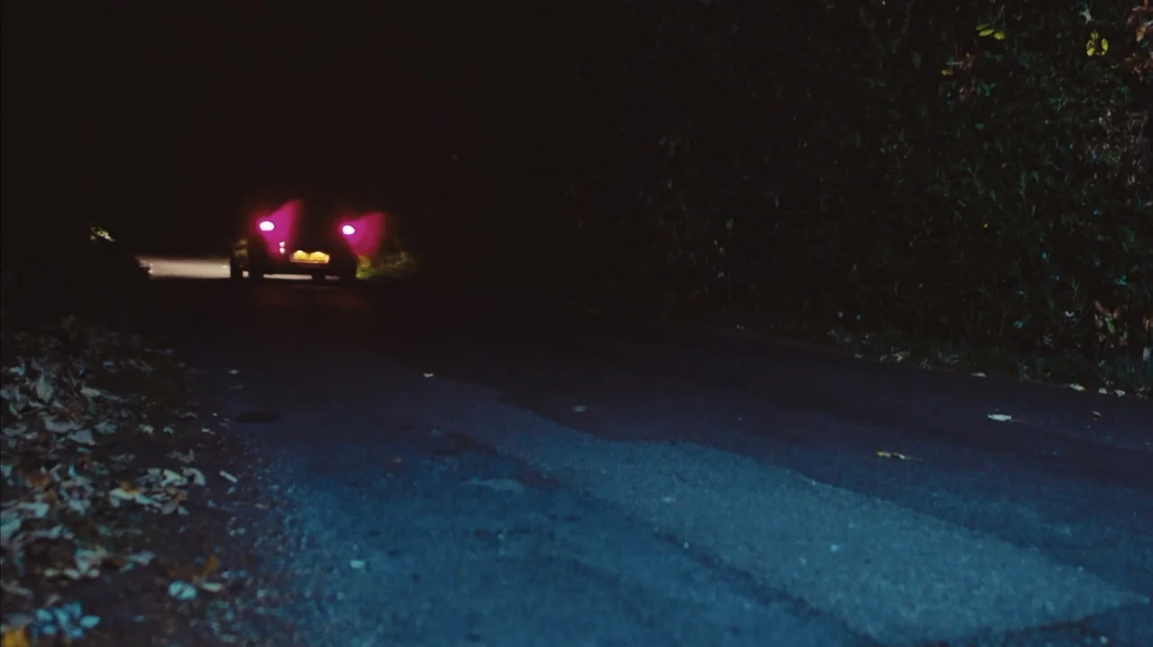 You Might Get Lost (2021) movie still: wide — An asphalt road at night stretches into darkness with dense vegetation lining the edges. A vehicle…
