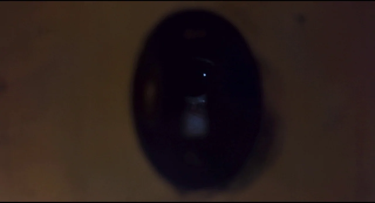 Olivia (1983) movie still: closeup — A close view through a circular door peephole reveals a dark and shadowy space. A single human eye is…