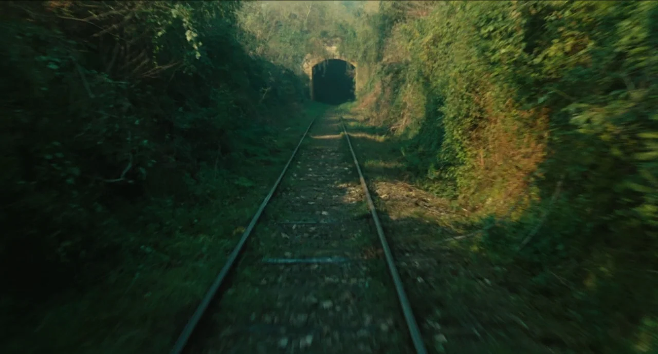 City of Women (1980) movie still: establishing — A stone railroad tunnel entrance is flanked by thick, overgrown brush and small trees. The…