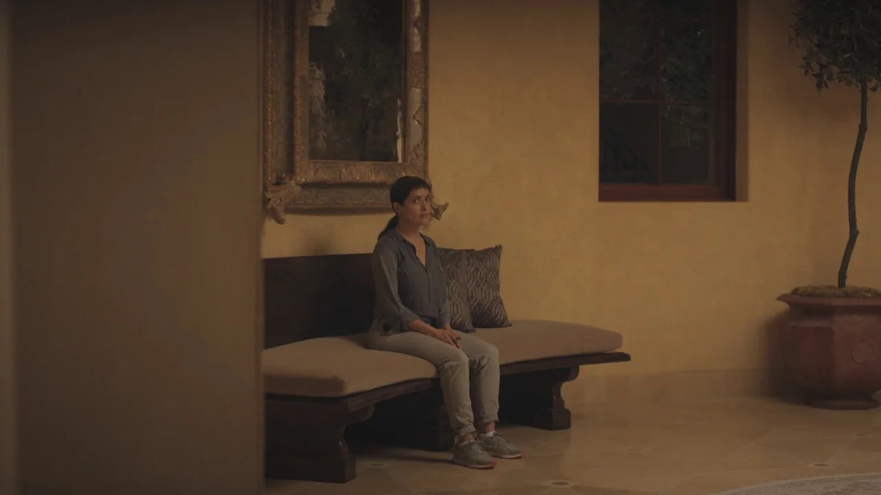 Beatriz at Dinner (2017) movie still: wide — An interior space features a bench placed against a wall with a framed mirror. A woman wearing a blue…