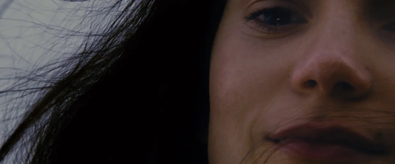 Stoker (2013) movie still: closeup — A close-up view shows a person's face against a gray overcast sky. Hair strands blow across the subject's…