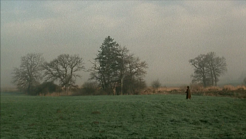 The Enigma Of Kaspar Hauser (1974) movie still: wide — A vast, damp, green pasture spans the foreground under a thick, overcast sky. A lone figure…