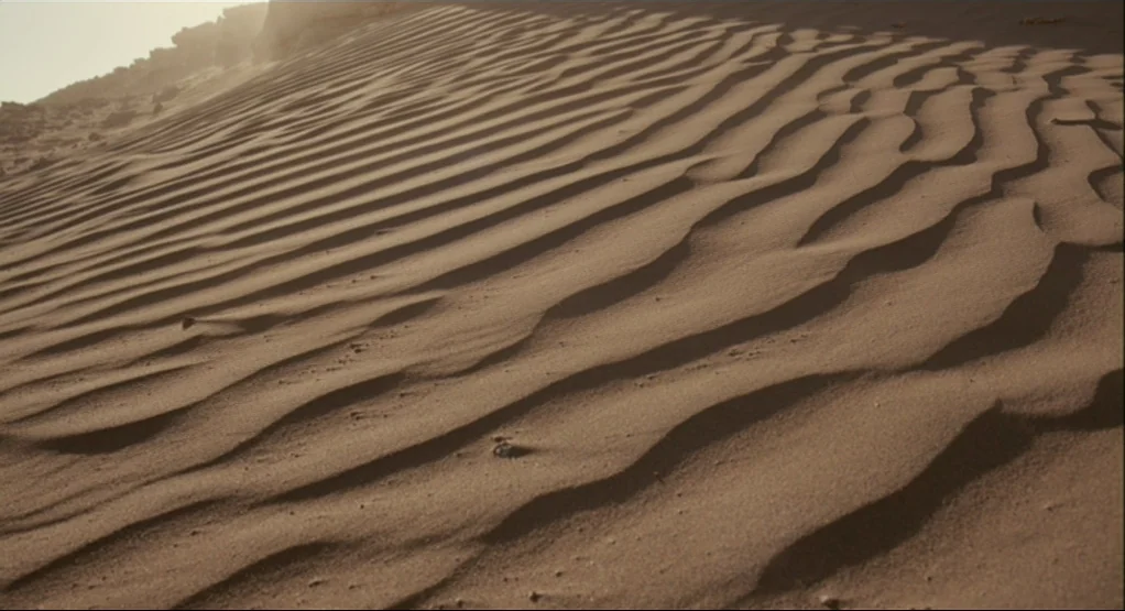 The Tree Of Life (2011) movie still: establishing — A vast expanse of rippled sand stretches across the frame in a remote location. Wind-swept dunes…