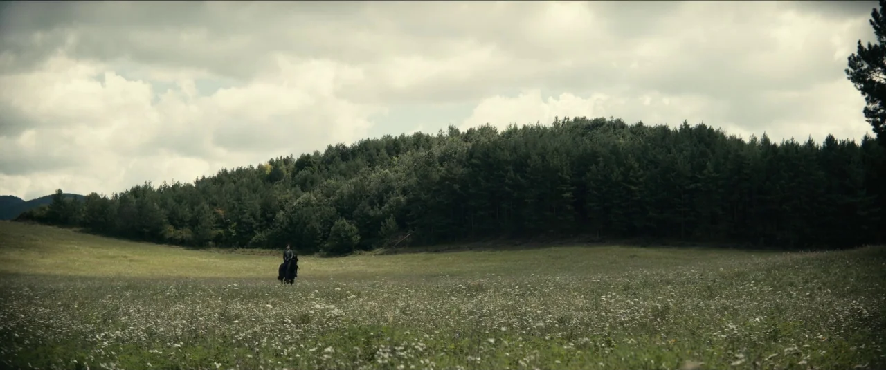 The King movie still: wide — A wide, grassy meadow stretches toward a dense, dark wall of pine trees. A single rider on a dark horse moves through…