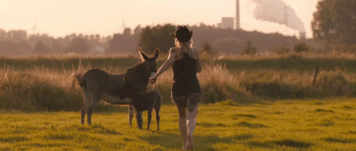 Broken Circle Breakdown (2012) movie still: fullbody — A rural pasture with dry grass and distant industrial smokestacks against a sunset sky. A…