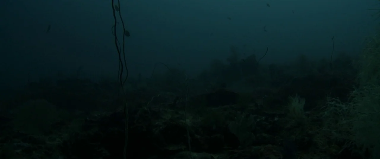 The Lure (2015) movie still: wide — The deep ocean floor is populated by sparse coral structures and thin vertical stalks. Small dark fish swim…
