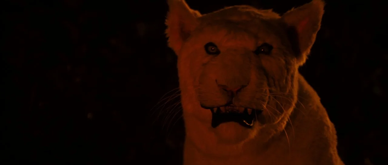 Casa De Mi Padre (2012) movie still: closeup — A white lion emerges from total darkness into a narrow beam of warm light. The animal stares directly…