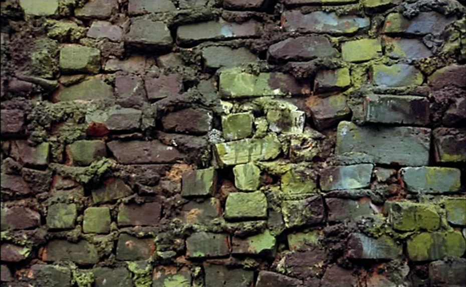 My American Uncle (Mon oncle d’Amérique) (1980) movie still: closeup — An old, decaying wall constructed of uneven dark brown bricks and thick,…