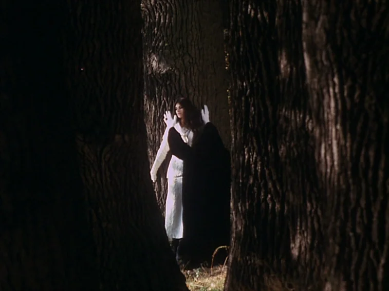Valerie & Her Week of Wonders (1970) movie still: wide — A dense grouping of mature trees creates a dark, narrow corridor in a woodland. A woman in…