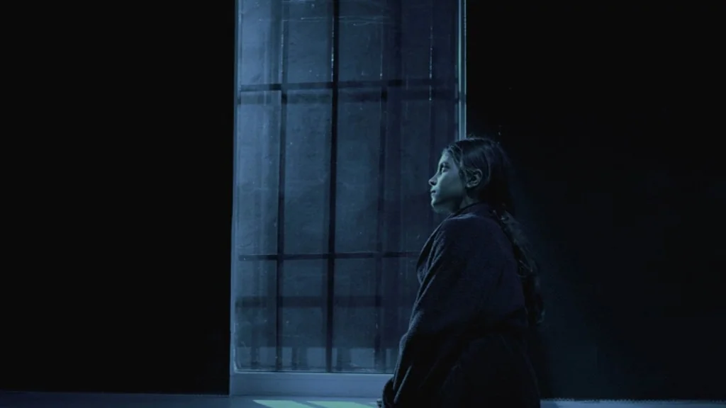 The Ugly Swans (2006) movie still: medium — A dimly lit room features a tall, narrow window with dark vertical iron bars. A young girl in a dark…