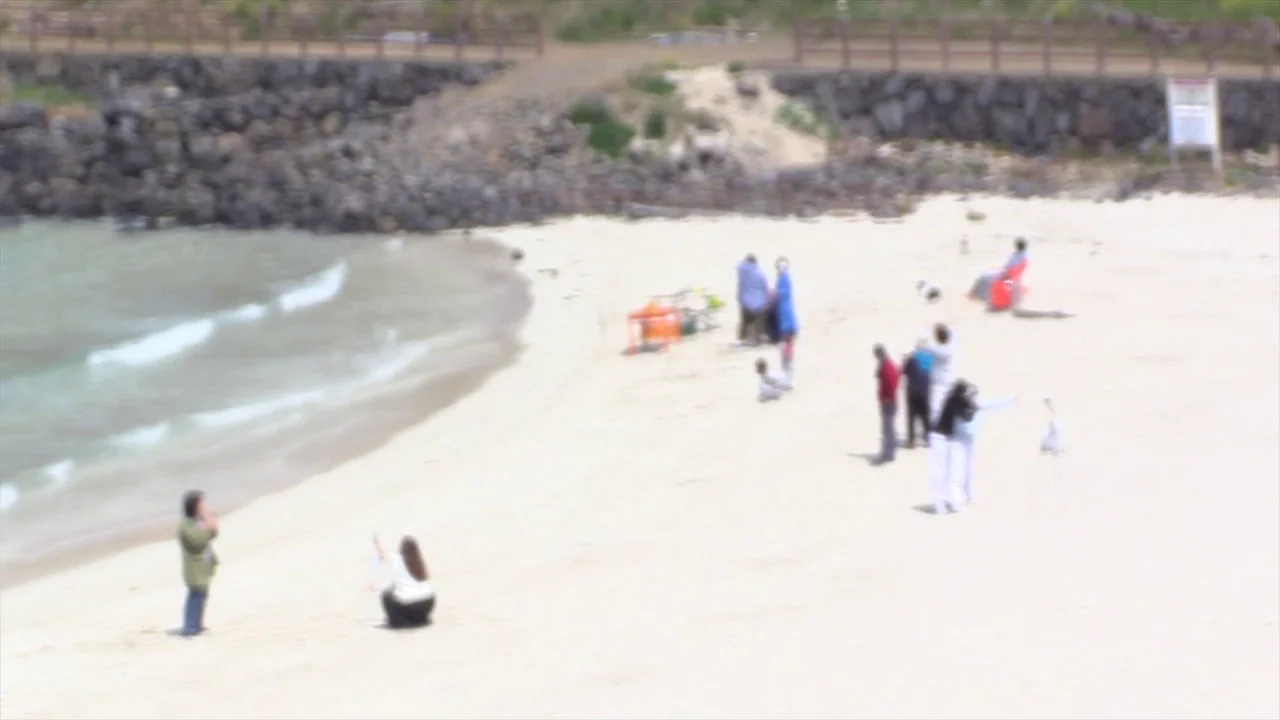 In Water (2023) movie still: wide — A wide, sunlit stretch of white sand beach meets a gentle, lapping shoreline. Several individuals are dispersed…
