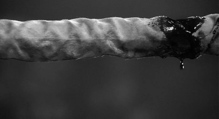 Raging Bull (1980) movie still: closeup — A close-up shot focuses on a textured, horizontal fabric rope in a ring. Dark viscous liquid drips…