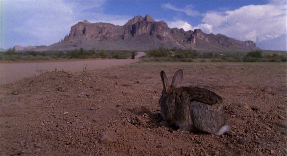 Raising Arizona (1987) movie still: wide — An arid desert landscape stretches toward distant, jagged mountain ridges under a bright sky. A brown…