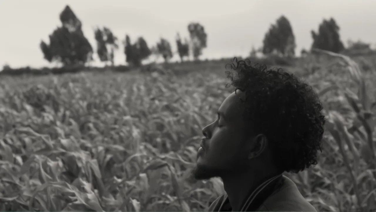 Faya Dayi (2021) movie still: medium — A field of dense crops stretches towards distant trees under an overcast sky. A young man stands in the…