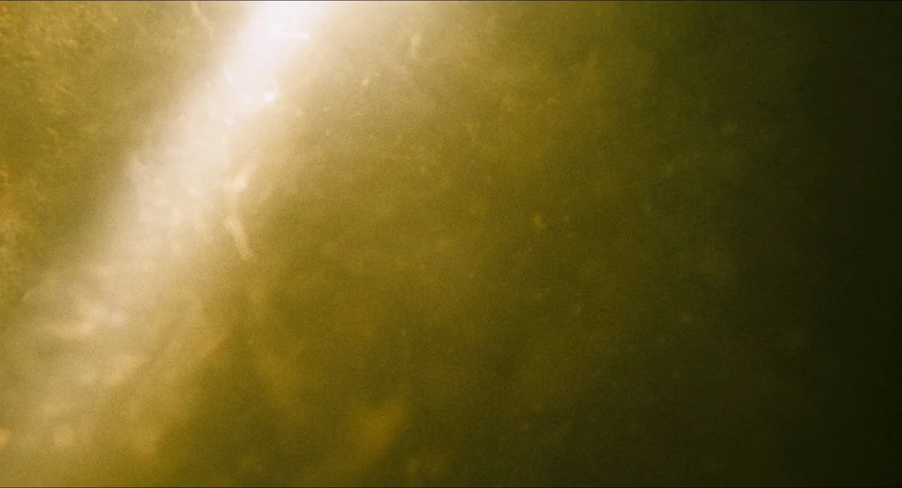 Dark Water (2002) movie still: establishing — An abstract field of light and texture fills the entire frame. No distinct subjects or landmarks are…