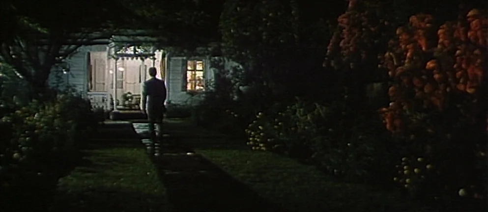 Mississippi Mermaid (1969) movie still: wide — A man walks along a dark garden path toward an illuminated house exterior at night. Dense foliage and…