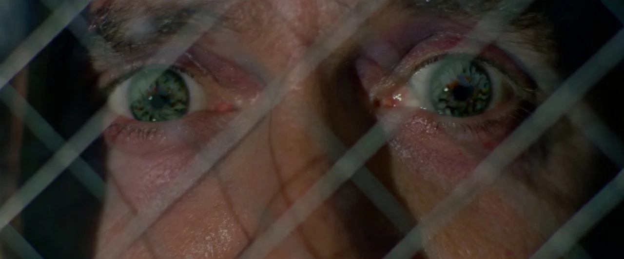 Bird Box (2018) movie still: closeup — A close-up view shows a person's eyes peering directly through a diamond-patterned wire grid. The subject…