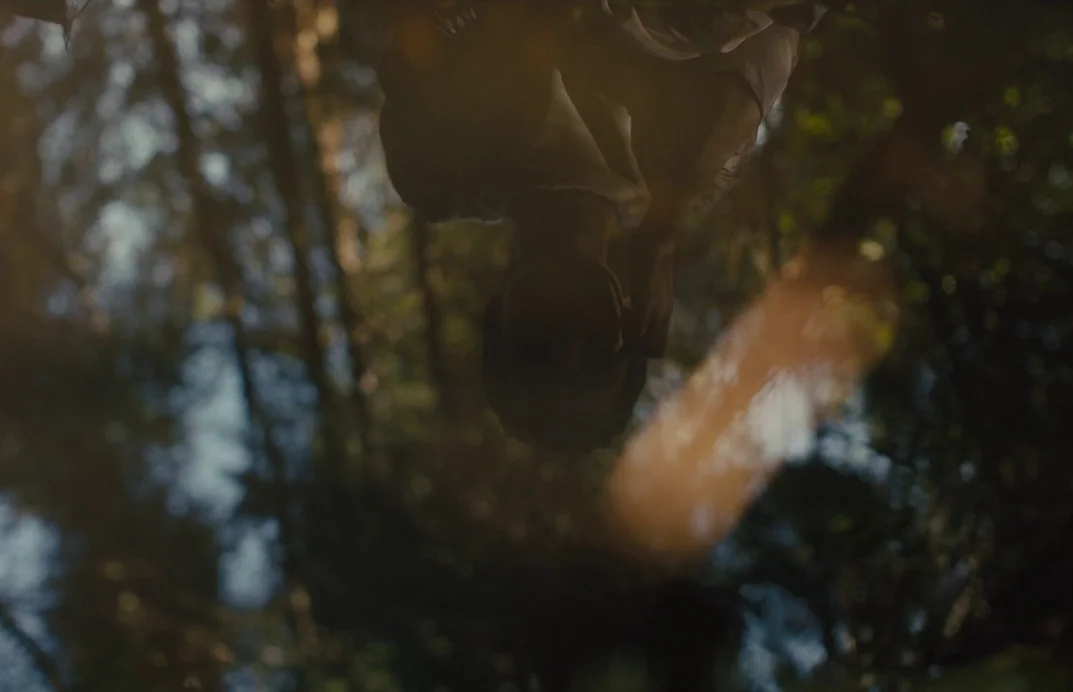 Gretel & Hansel (2020) movie still: closeup — A dark water surface reflects the silhouette of a person standing above. Tall trees and filtered…