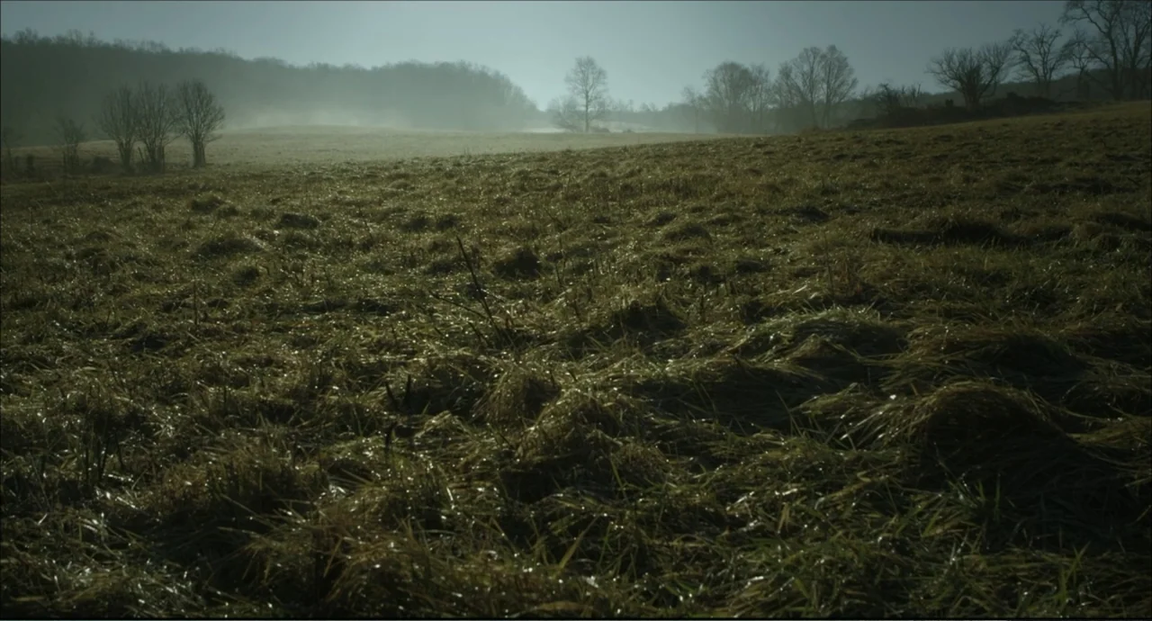 Freedom (2024) movie still: establishing — A vast, damp field covered in thick, matted grass stretches towards a distant treeline. Low-hanging…
