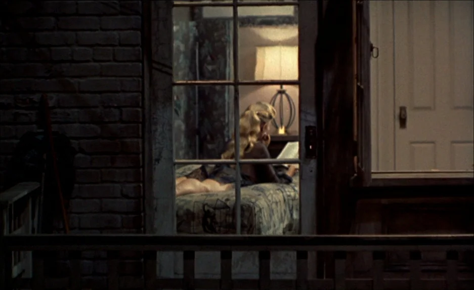 Rear Window (1954) movie still: medium — A dark brick balcony overlooks an illuminated interior room viewed through a glass window. A blonde woman…