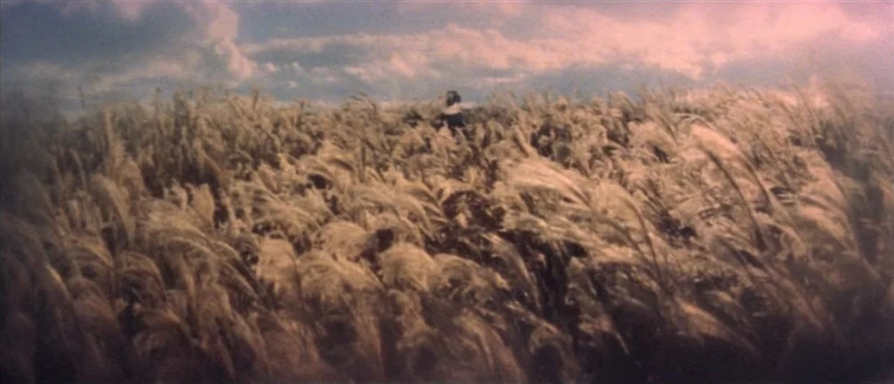 An Actor’s Revenge (1963) movie still: wide — A vast field of tall, swaying grass extends to the horizon under a cloudy sky. The tall, feathery…
