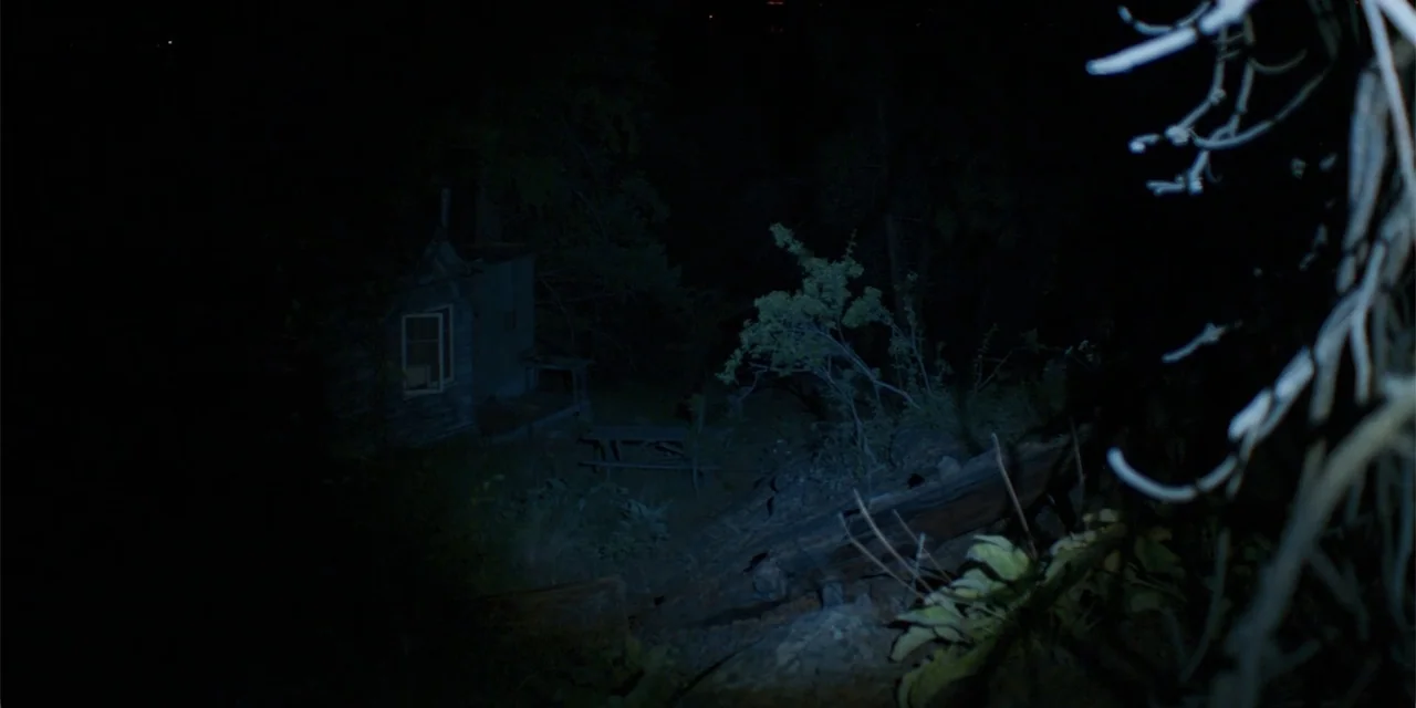 Demonic (2015) movie still: wide — A dark, wooded area features a small shed and a picnic table at night. A narrow flashlight beam cuts through the…